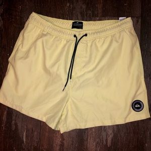 QuickSilver Swim Trunks